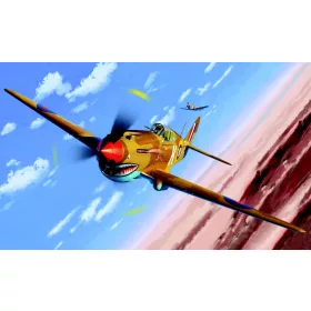 Academy - TOMAHAWK IIB ACE OF AFRICAN FRONT :LE
