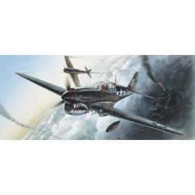 Academy -  Academy 12465 - P-40M/N (1:72)